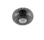 TRIO Plafondlamp JOHANN - Afbeelding 4
