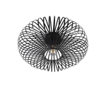 TRIO Plafondlamp JOHANN - Afbeelding 4