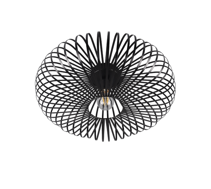 TRIO Plafondlamp JOHANN - Afbeelding 4