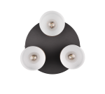 TRIO Plafondlamp AGUDO - Afbeelding 4