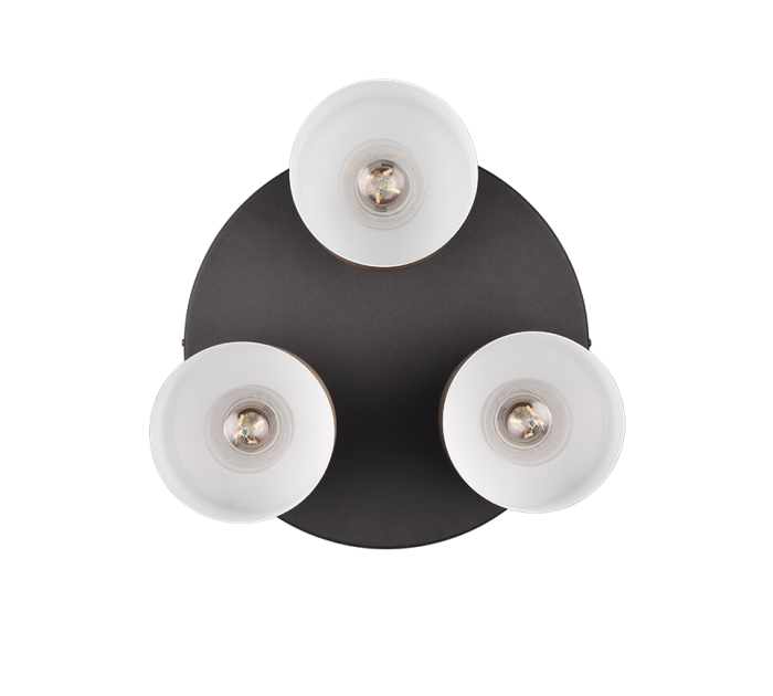 TRIO Plafondlamp AGUDO - Afbeelding 4