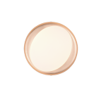 Plafondlamp REALITY ZETA - Afbeelding 5