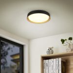Realiteit, Plafondlamp, FELIS - Afbeelding 6