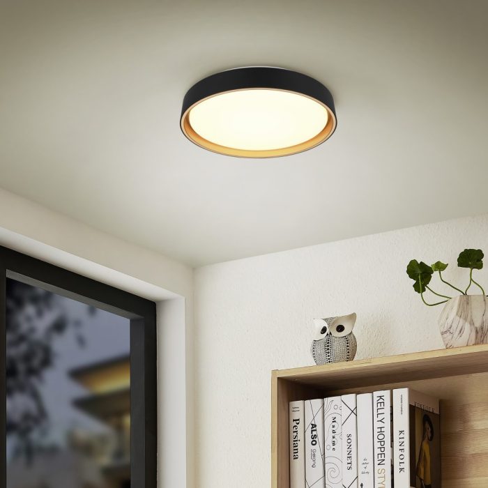 Realiteit, Plafondlamp, FELIS - Afbeelding 6