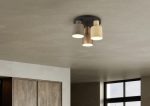 TRIO Plafondlamp AGUDO - Afbeelding 5