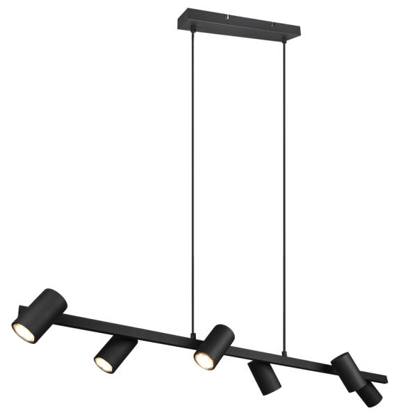 Hanglamp TRIO MARLEY