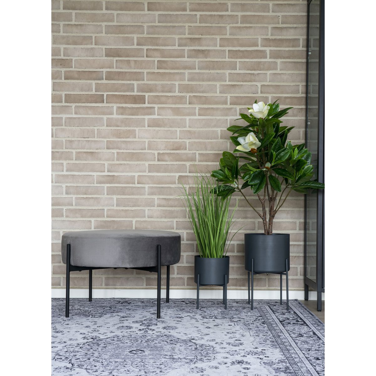 Havana Tapijt - Tapijt, zwart/wit, 160x230 cm - Afbeelding 5