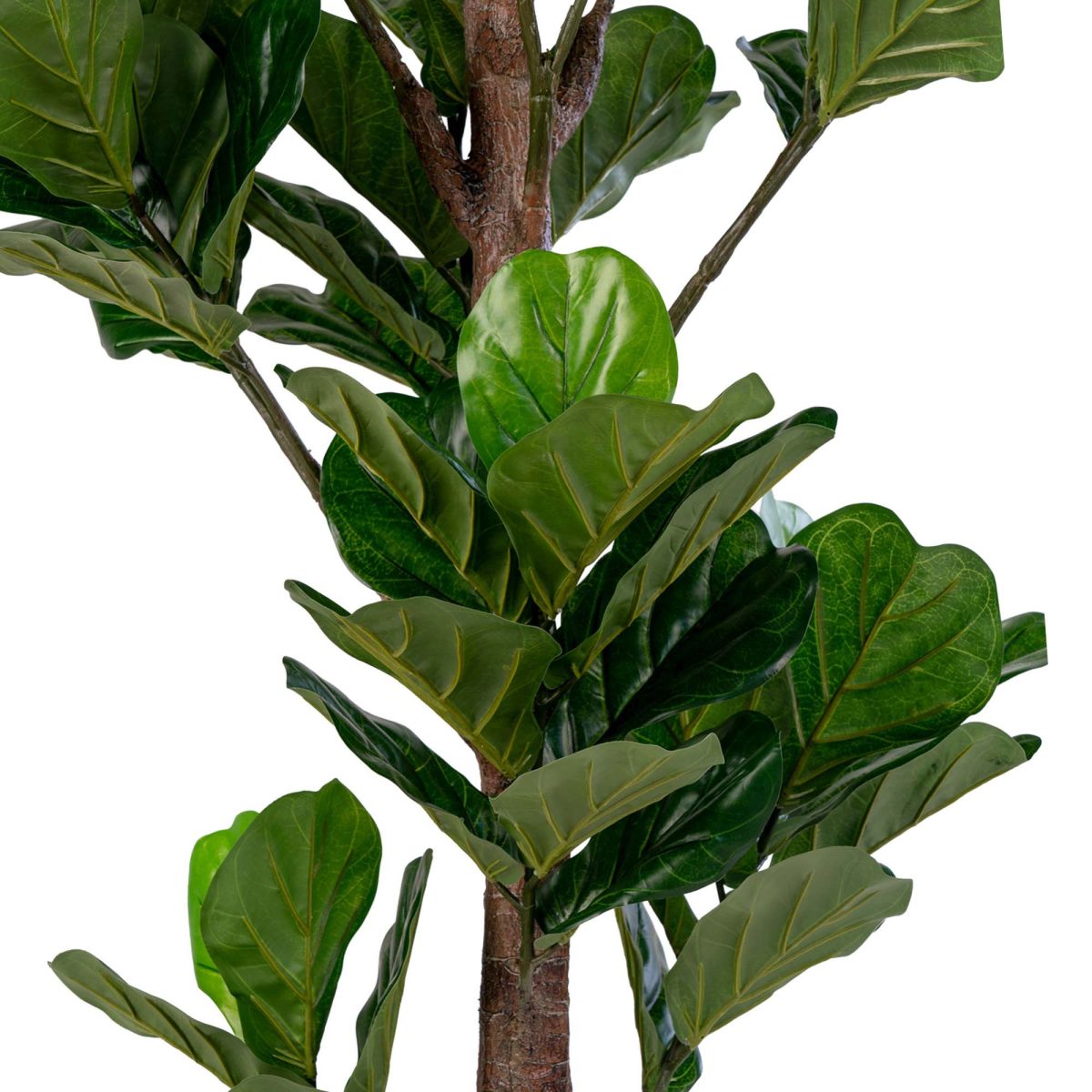 Vioolbladboom - Kunstplant 190 cm - Afbeelding 3