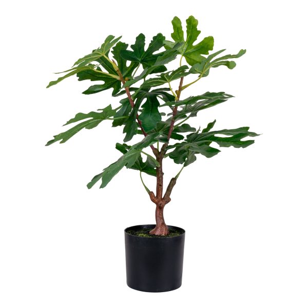 Vijgenboom - Kunstboom, groen, 50 cm