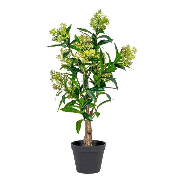 Skimmia boom - Kunstplant, groen, 75 cm