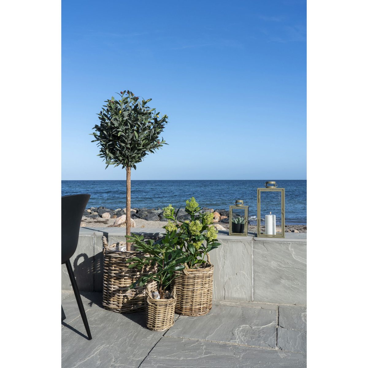 Skimmia boom - Kunstplant, groen, 75 cm - Afbeelding 2