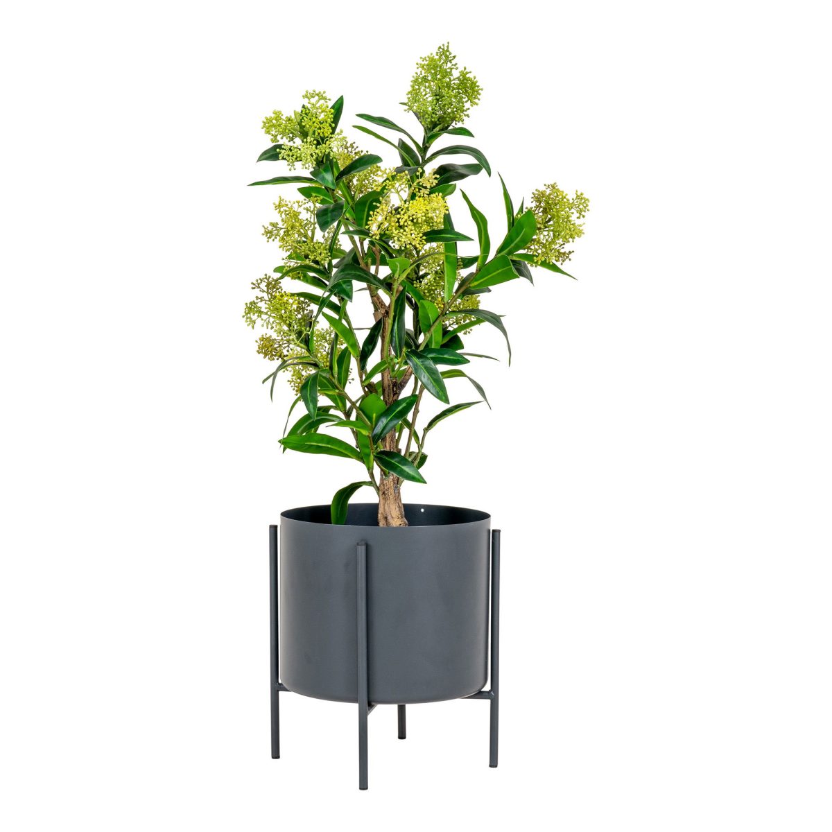 Skimmia boom - Kunstplant, groen, 75 cm - Afbeelding 3