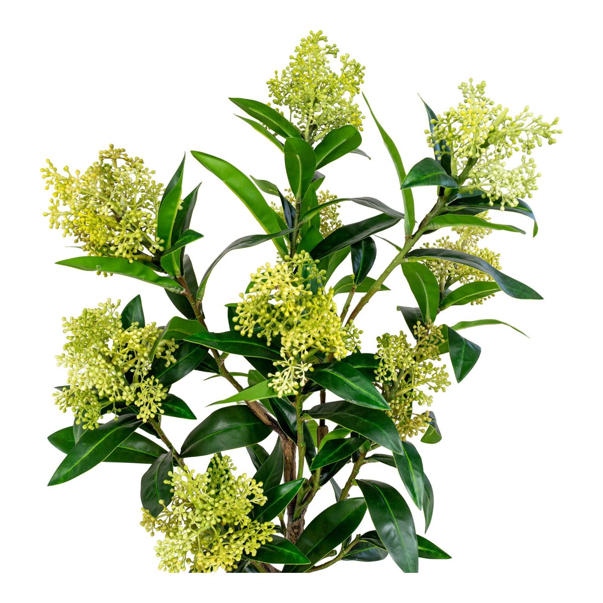 Skimmia boom - Kunstplant, groen, 75 cm - Afbeelding 4
