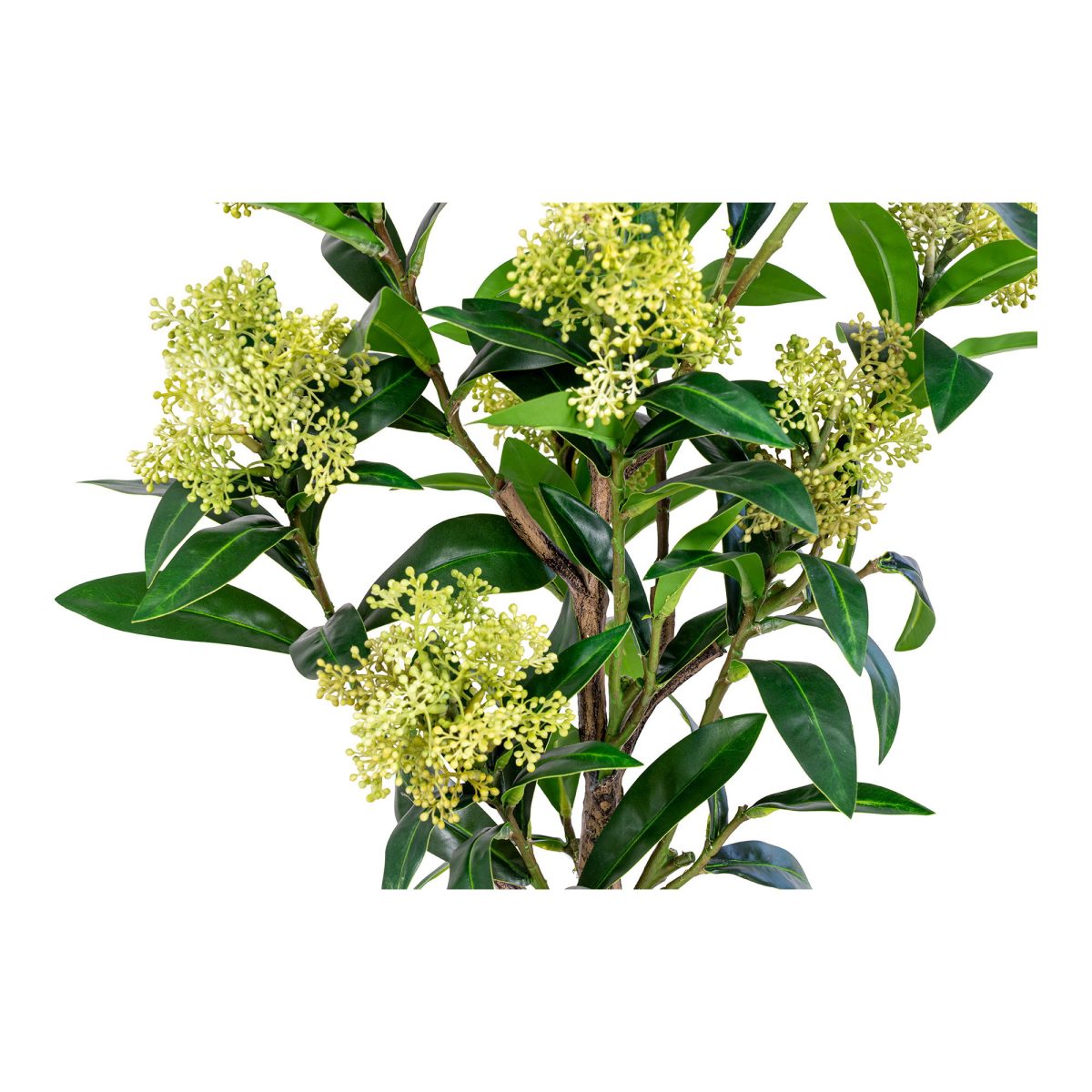 Skimmia boom - Kunstplant, groen, 75 cm - Afbeelding 5