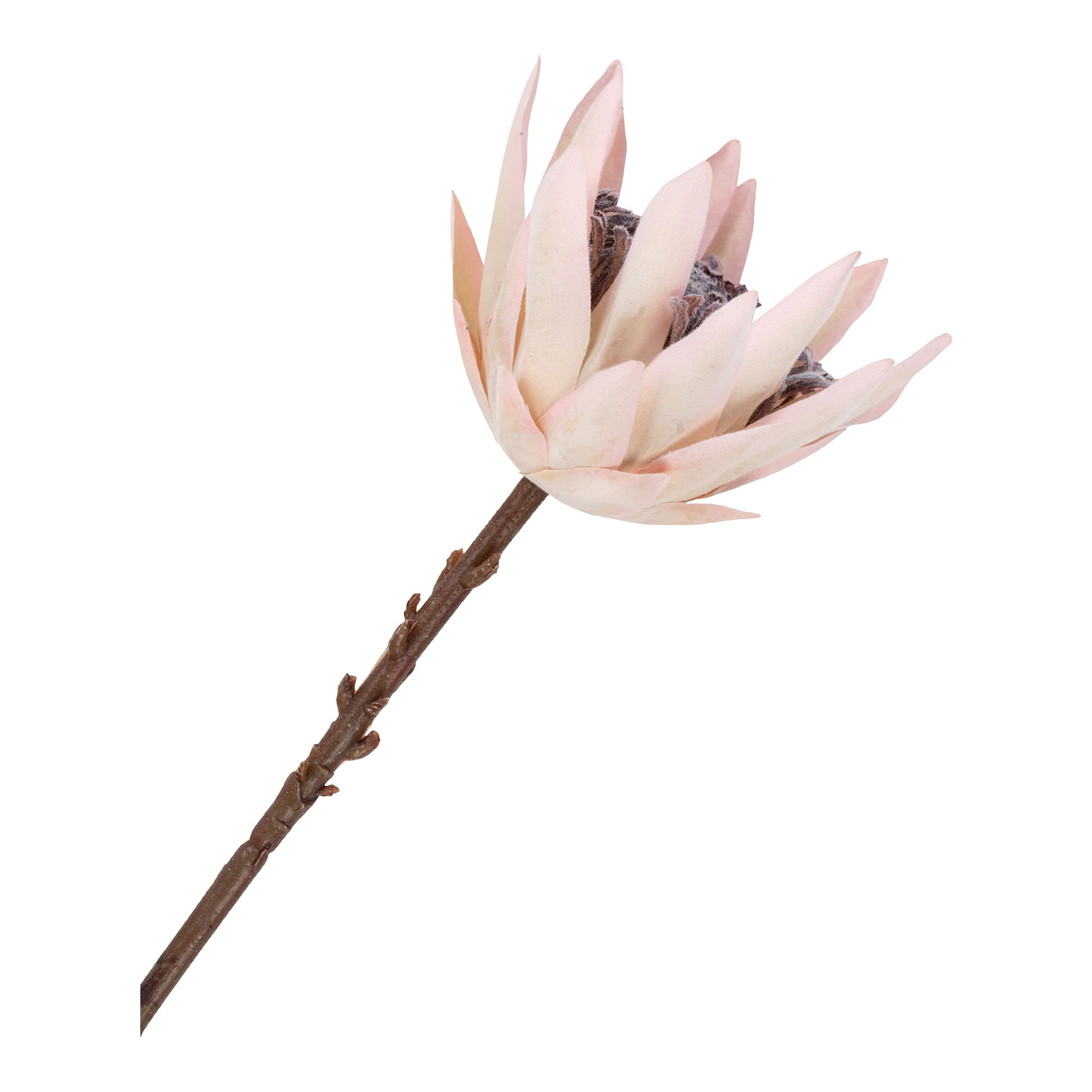9501160-3.jpg King Protea Boeket - Kunstbloemen, bordeaux mix, 65 cm - Afbeelding 4