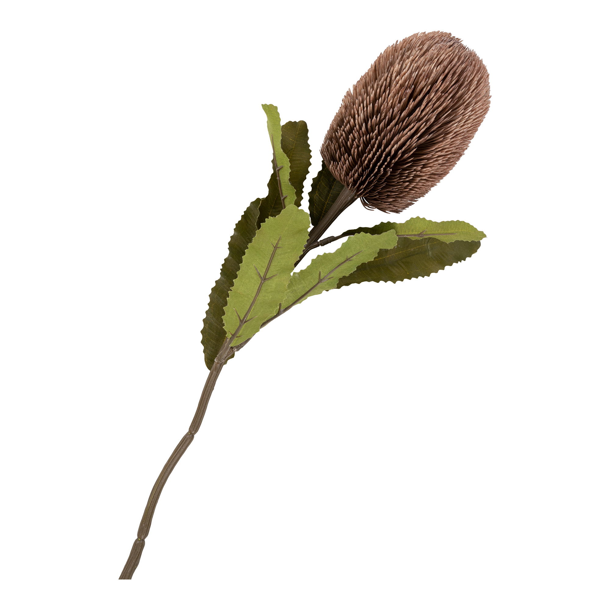 9501160-4.jpg King Protea Boeket - Kunstbloemen, bordeaux mix, 65 cm - Afbeelding 5