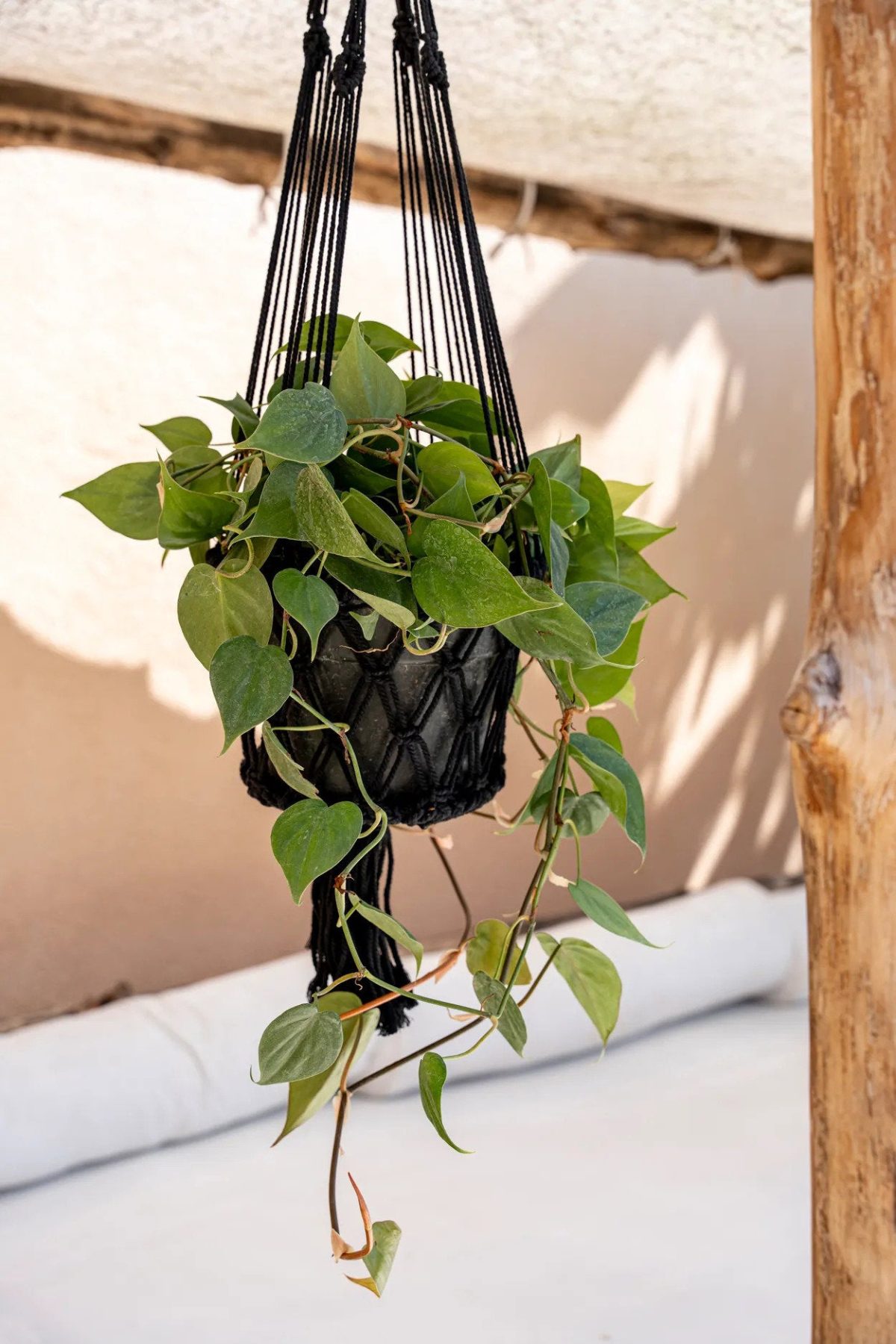 De Macramé Plantenhanger - Zwart - L_40 - Afbeelding 4