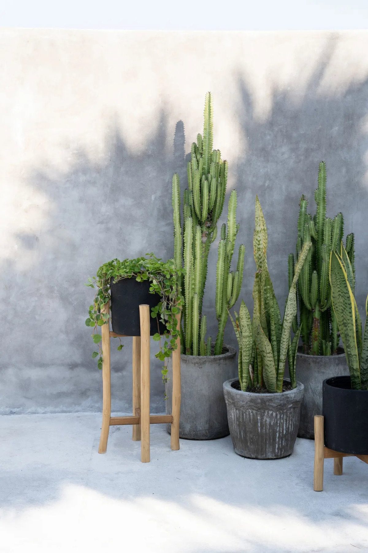 De Hoge Houtskool - Zwart Natuurlijk - L - Afbeelding 3