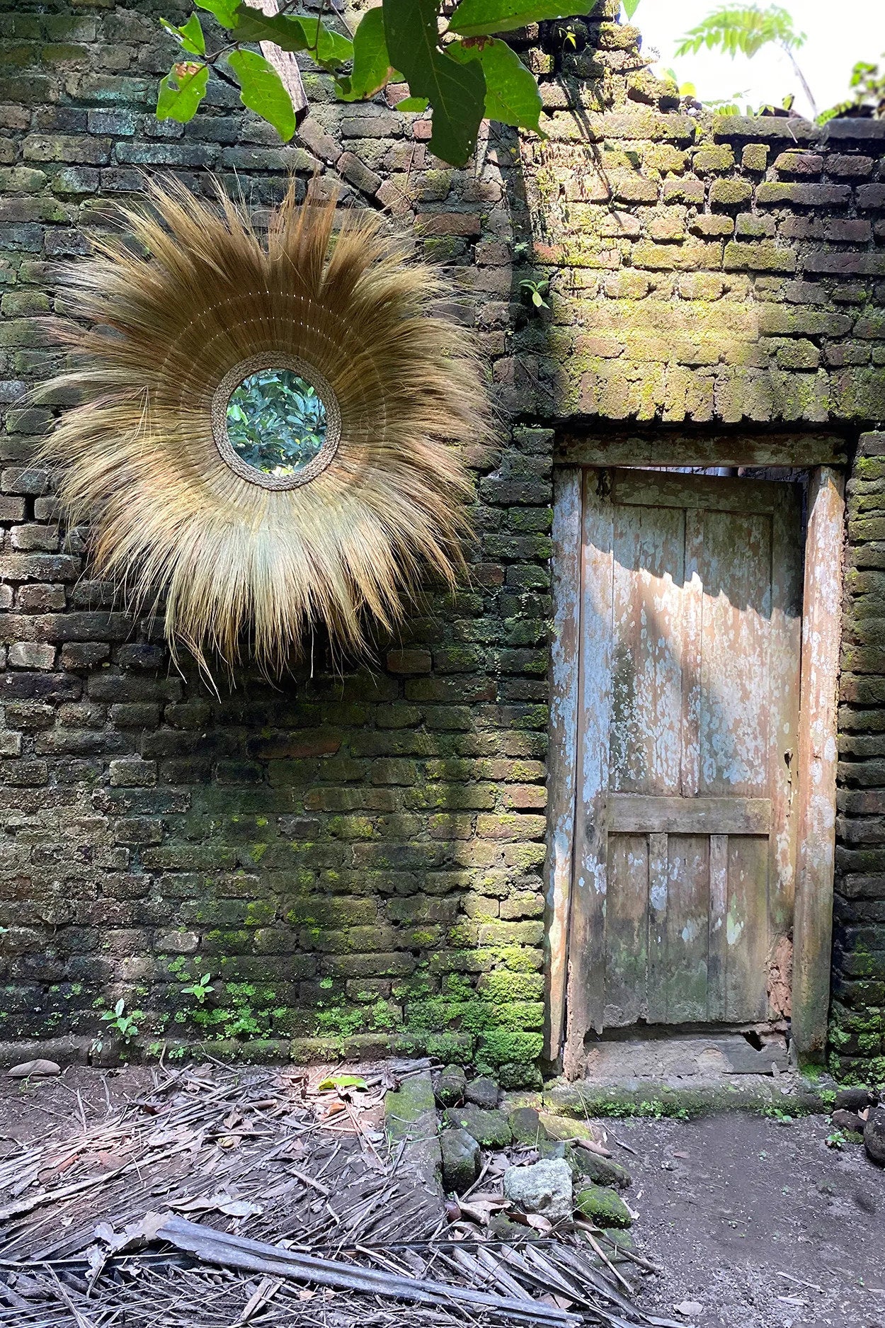 JARE001N-3.jpg Le miroir de la forêt engloutie - Naturel - Afbeelding 4