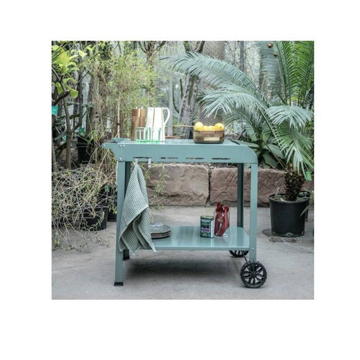 LIV1727218415047-2.jpg Plancha trolley - LIVOO - GS168V - Groen / Zwart - Afbeelding 3