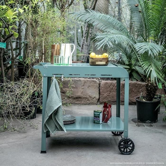 LIV1727218415047-5.jpg Plancha trolley - LIVOO - GS168V - Groen / Zwart - Afbeelding 6