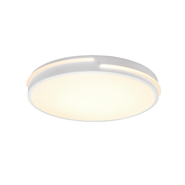 Realiteit Plafondlamp Tacoma