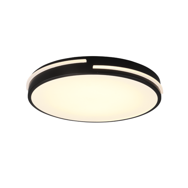 Realiteit Plafondlamp Tacoma