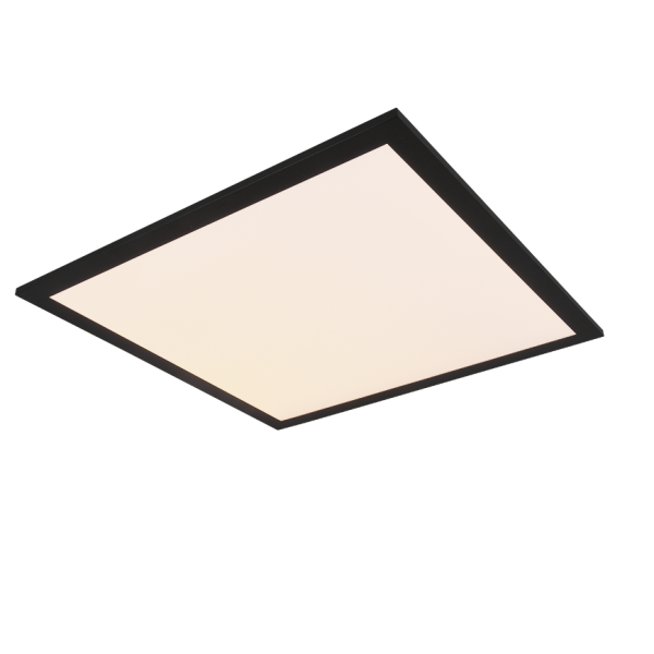 Realiteit Plafondlamp Alpha