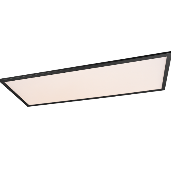 Realiteit Plafondlamp Gamma