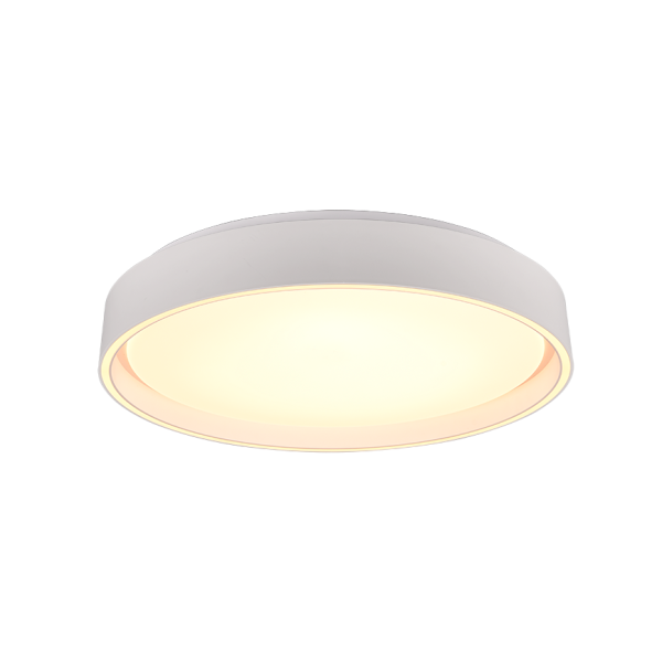 Realiteit Plafondlamp Felis