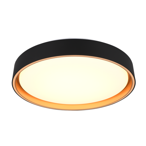 Realiteit Plafondlamp FELIS
