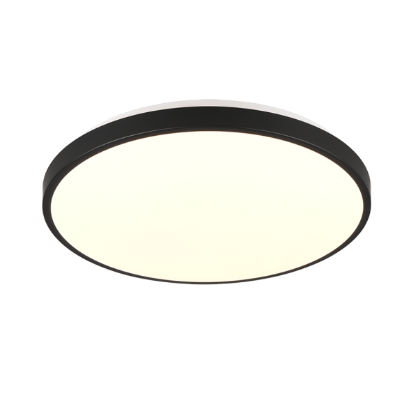 Plafondlamp REALITY LOODY