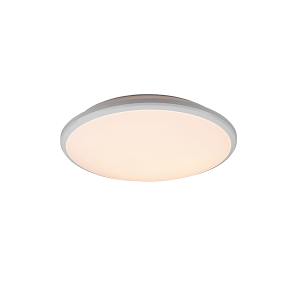 Plafondlamp REALITY LIMBUS
