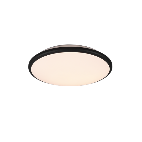 Plafondlamp REALITY LIMBUS