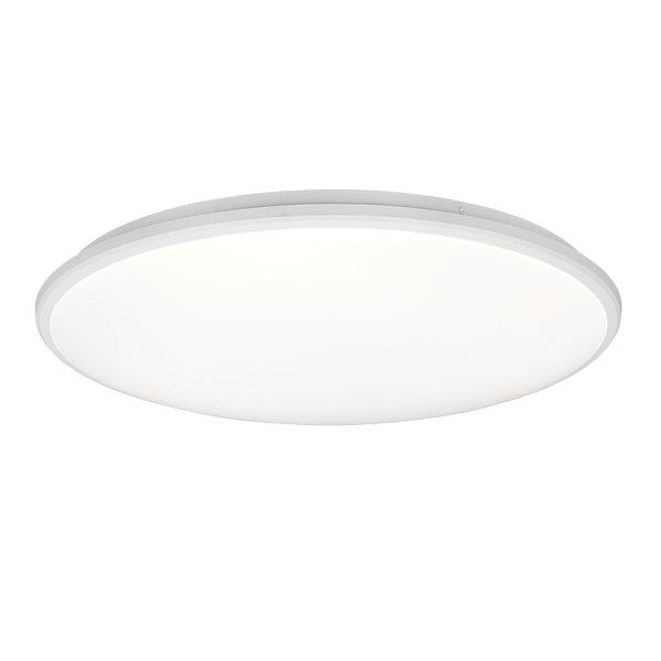 Realiteit Plafondlamp Limbus
