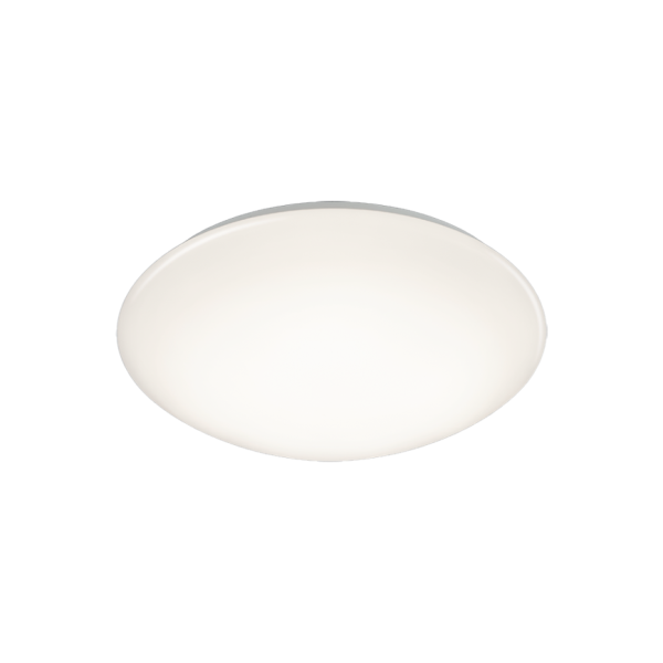 Plafondlamp REALITY POLLUX