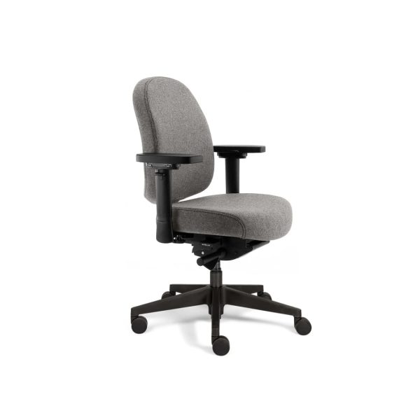 Gereviseerde Bureaustoel Therapod X Compact Lichtgrijs (N)EN 1335