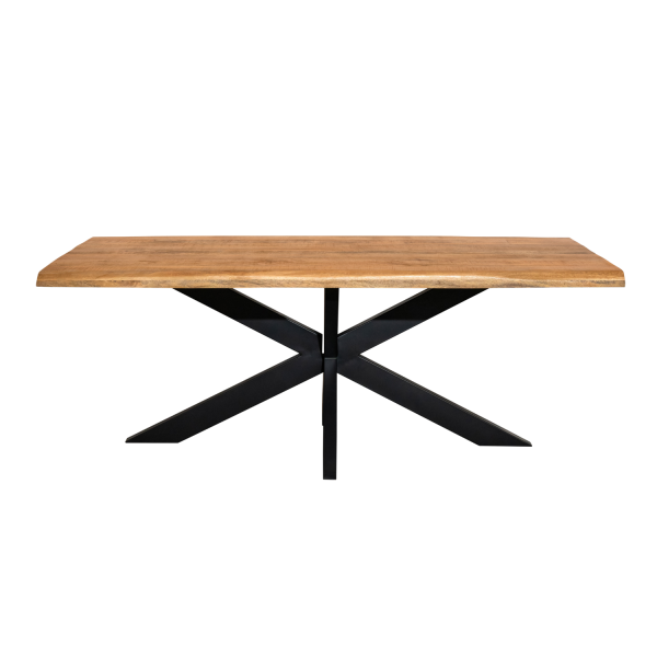 Boomstamtafel Denver | 200 cm