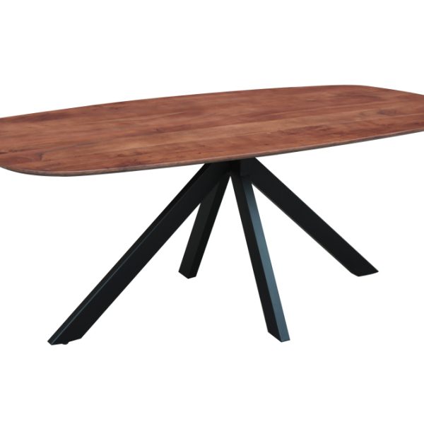 Eettafel Dokkum 240x100
